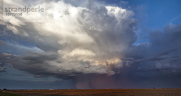 Von der untergehenden Sonne gefärbte Superzelle  Ogallala  Nebraska  USA