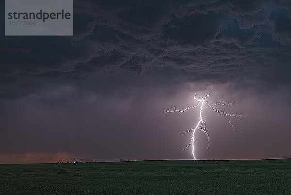 Gegabelter Wolken-Boden-Blitz traf ländliches Gebiet  Ogallala  Nebraska  USA