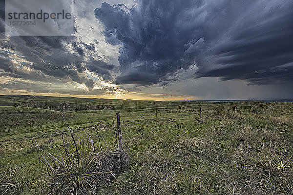 Gewitter bildet sich bei Sonnenuntergang über dem ländlichen Ogallala  Nebraska  USA