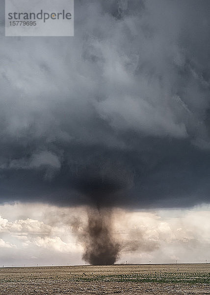 Landspout verwandelt sich unter Cumulonimbus in Mesozyklon-Tornado  Cope  Colorado  USA