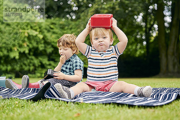 Brüder essen und spielen auf einer Picknickdecke im Park