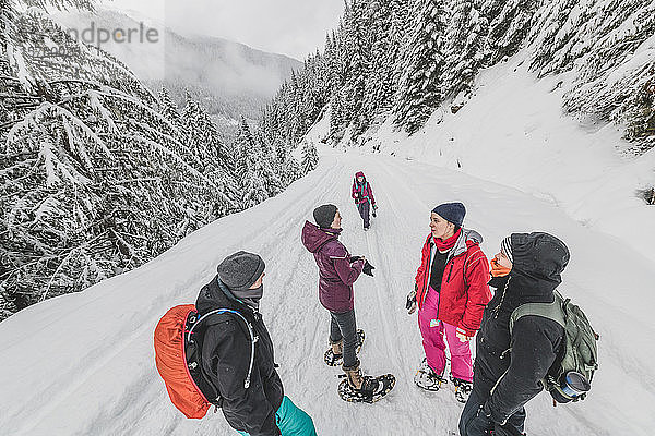 Eine Gruppe von Freunden wandert im Winter in einem kanadischen Wald.