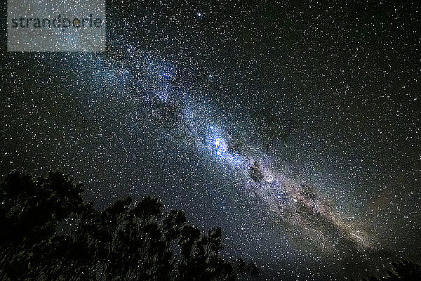 Neuseeland  Milchstraßen-Galaxie am sternenklaren Nachthimmel