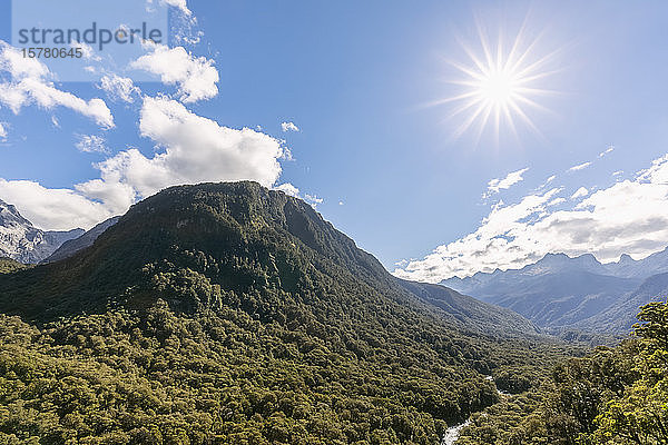 Neuseeland  Blick auf die Sonne  die über dem bewaldeten Hollyford Valley scheint