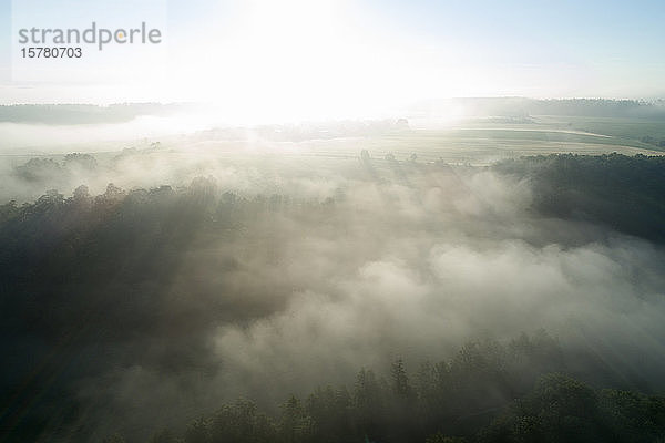 Deutschland  Bayern  Franken  Luftaufnahme des morgendlichen Nebelfeldes