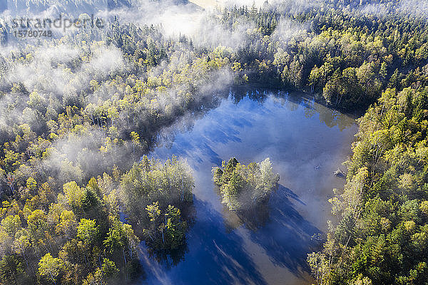 Deutschland  Bayern  Geretsried  Luftaufnahme des nebelverhangenen Birkensees und des umliegenden Waldes