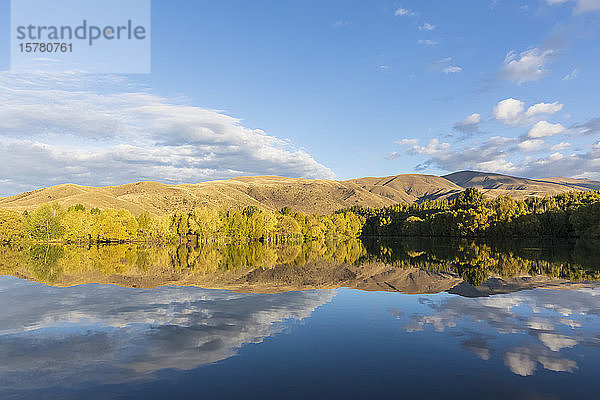 Neuseeland  Distrikt Franklin  Glenbrook  Bewaldete Hügel  die sich im Herbst im See Wairepo Arm spiegeln