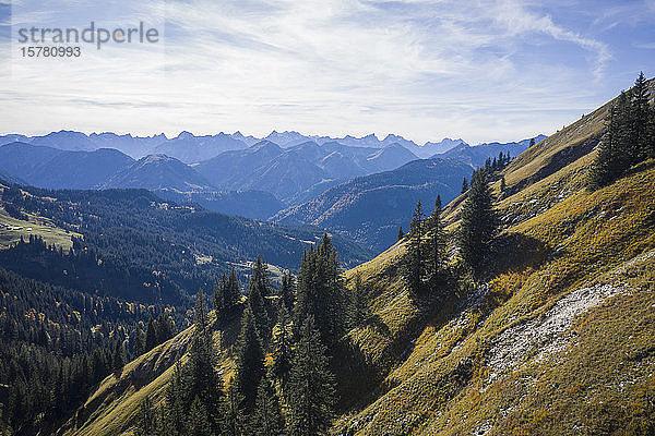 Österreich  Tirol  Eben am Achensee  Blick in ein grün bewaldetes Bergtal im Herbst