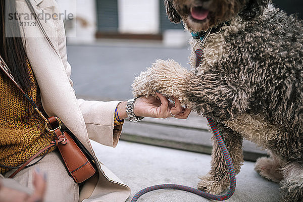 Junge Frau mit ihrem Hund in der Stadt beim Pfötchengeben