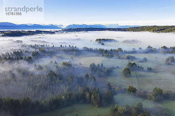 Deutschland  Bayern  Eurasburg  Luftaufnahme eines nebelumhüllten Waldes