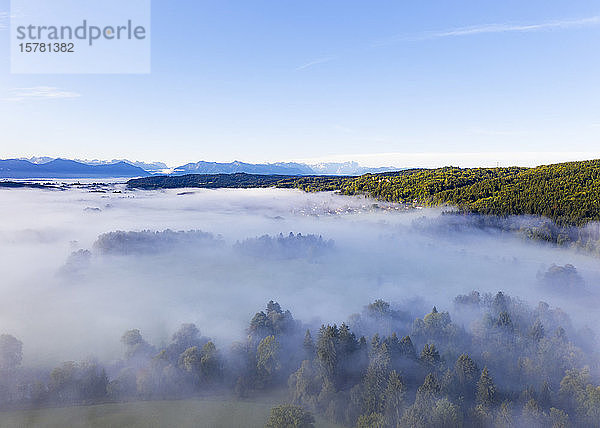 Deutschland  Bayern  Eurasburg  Luftaufnahme eines nebelumhüllten Waldes