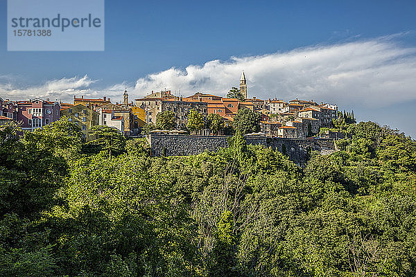 Kroatien  Istrien  Labin  Blick auf die Stadt auf dem grünen Hügel