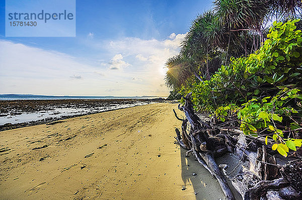Indonesien  Bintan  Tropischer Strand