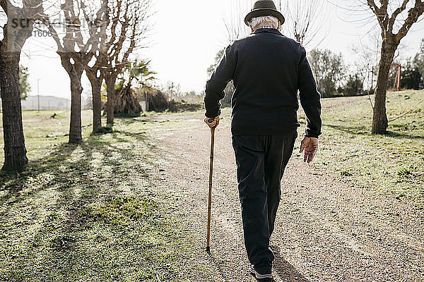 Alter Mann  der im Winterpark spazieren geht und sich auf seine Akne stützt