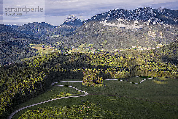 Österreich  Tirol  Eben am Achensee  Luftaufnahme der kurvenreichen Straße und des grünen Alpenwaldes im Sommer