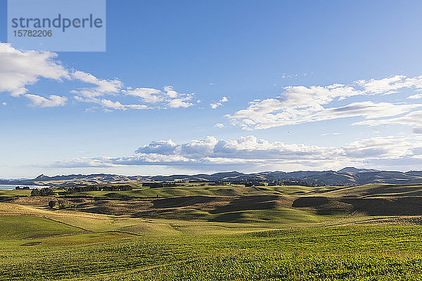 Neuseeland  Nord-Otago  Hampden  Sommerwolken über grünen grasbewachsenen Hügeln