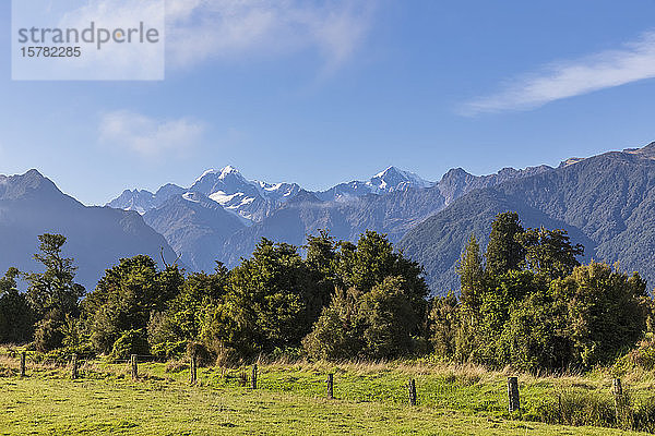 Neuseeland  Distrikt Westland  Fox Glacier  Zaun  der sich vor grünen Bäumen mit Bergen im Hintergrund erstreckt
