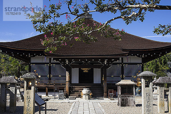 Japan  Präfektur Kyoto  Kyoto  Steinlaternen im japanischen Steingarten des buddhistischen Tempels