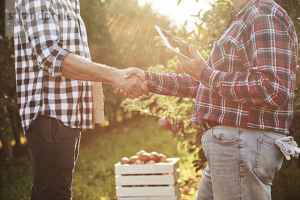 Obstbauern einigen sich auf ein Abkommen  schütteln Hände