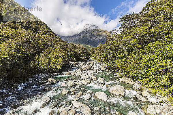 Neuseeland  Donne River fließt zwischen Felsen