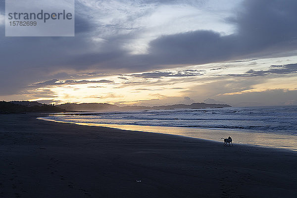 Costa Rica  Provinz Guanacaste  Ostional  sandiger Küstenstrand bei bewölktem Sonnenaufgang