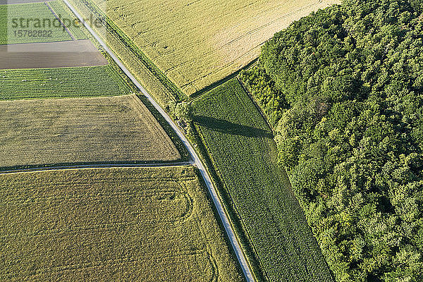 Deutschland  Bayern  Franken  Luftaufnahme der grünen Felder und des Feldweges