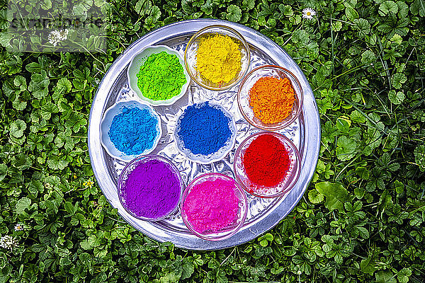 Pulverfarben in Schalen auf Tablett zur Feier des Festivals der Farben
