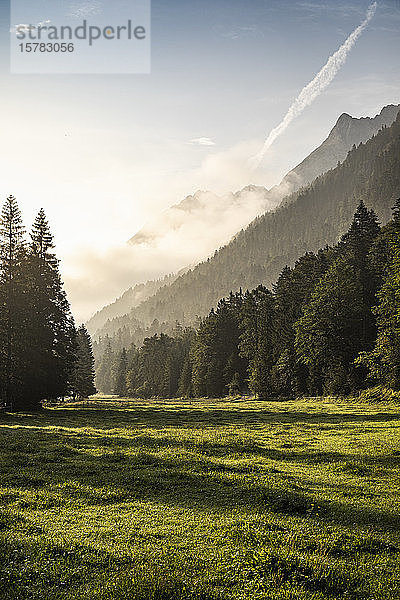 Vormittag im Risstal  Hinterriss  Karwendel  Tirol  Österreich