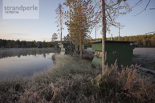 Finnland  Kainuu  Kuhmo  grasbewachsenes Seeufer in der Herbstdämmerung