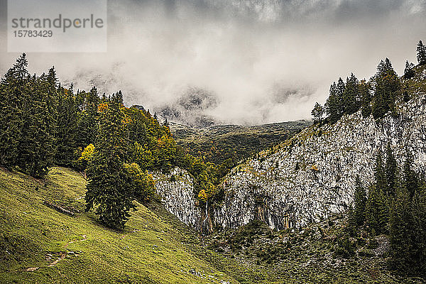 Wanderweg vor wolkenverhangenen Bergen  Kitzbühel  Kaisergebirge  Tirol  Österreich