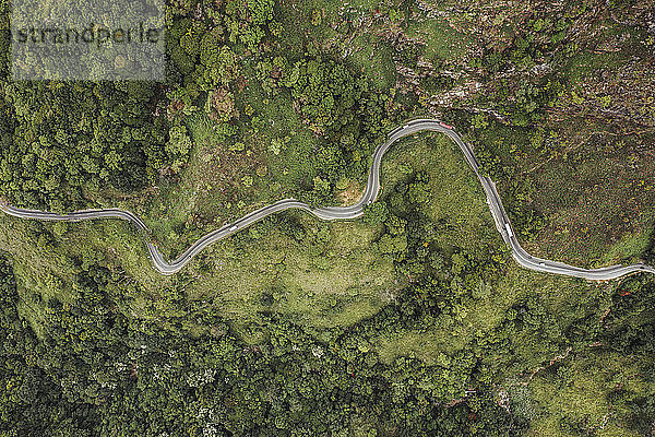 Sri Lanka  Provinz Uva  Ella  Luftaufnahme einer kurvenreichen Strasse  umgeben von grünem Bergwald