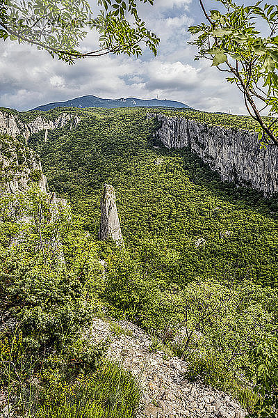 Kalksäulen in der Vela-Dragaschlucht  Naturpark Ucka  Istrien  Kroatien