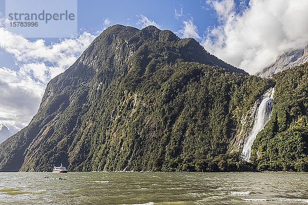 Neuseeland  Bowen Falls plätschert bewaldete Klippe hinunter