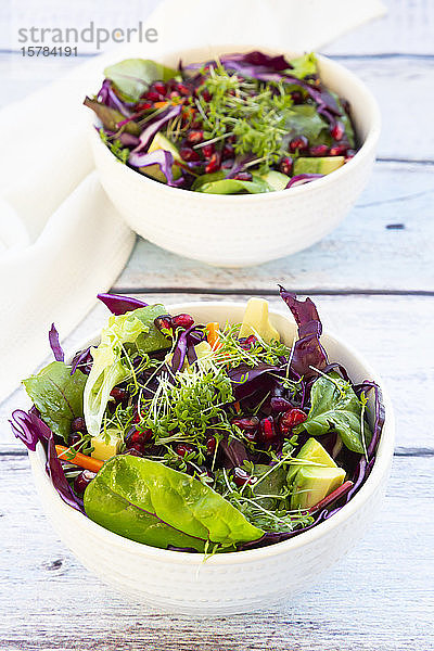 Zwei Schüsseln Salat mit Rotkohl  Karotten  Salatblättern  Avocado  Granatapfelkernen und Kresse