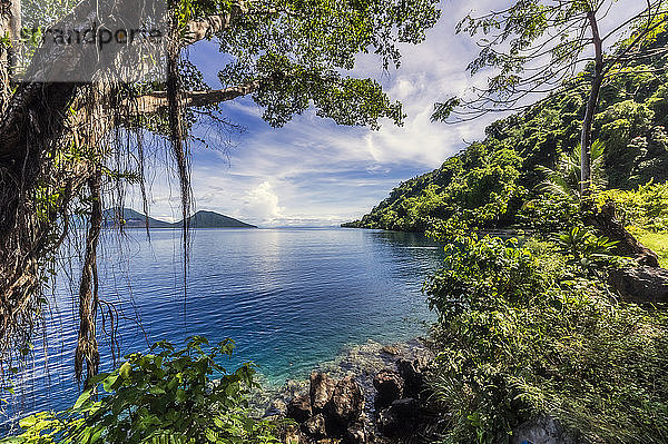 Papua-Neuguinea  Provinz Ost-Neubritannien  Rabaul  bewaldete Küste der Insel Neubritannien an einem sonnigen Tag