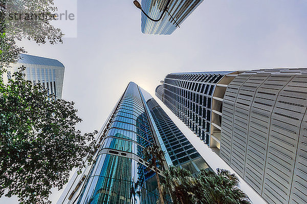 Australien  Brisbane  Niedrigwinkelansicht von Wolkenkratzern