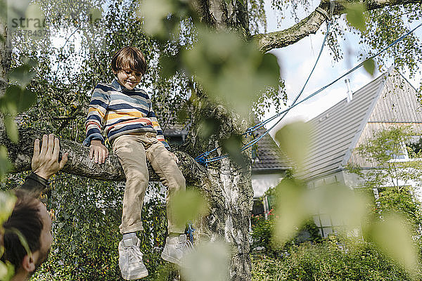 Junge klettert auf Baum  sitzt auf Ast  Vater schaut zu