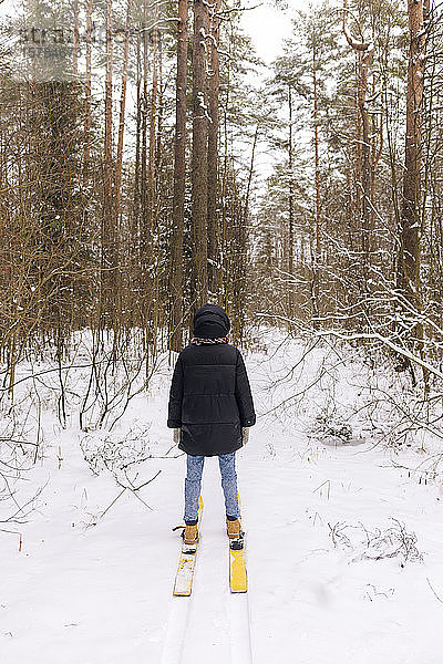 Rückenansicht einer Frau auf Skiern im Winterwald