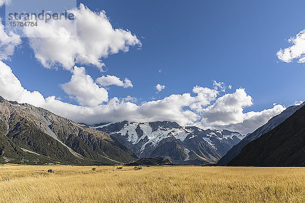 Neuseeland  Ozeanien  Südinsel  Canterbury  Ben Ohau  Südliche Alpen (Neuseeländische Alpen)  Mount Cook-Nationalpark  Aoraki / Mount Cook  Berglandschaft