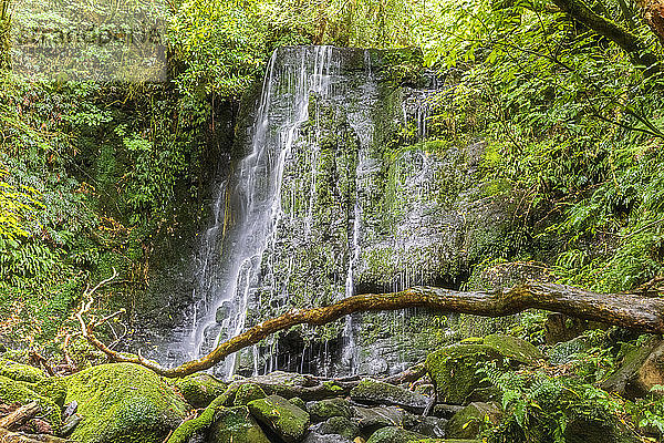 Neuseeland  Ozeanien  Südinsel  Otago  Caberfeidh  Maitai Falls
