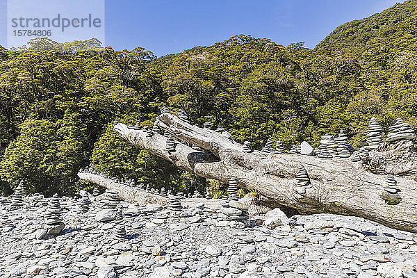 Neuseeland  Cairns am Haast Pass