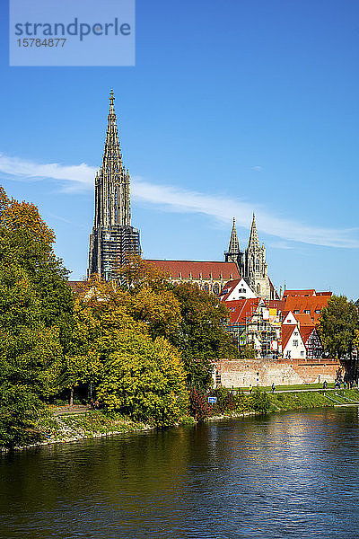 Deutschland  Baden-Württemberg  Ulm  Donauufer mit dem Ulmer Münster im Hintergrund
