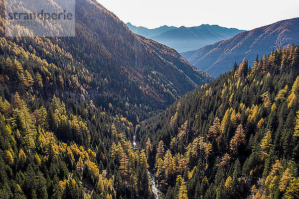 Österreich  Kärnten  Luftaufnahme des bewaldeten Bergtals im Herbst