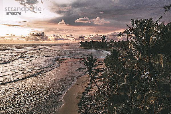 Sri Lanka  Südprovinz  Ahangama  Luftaufnahme von Palmen am Küstenstrand in der Abenddämmerung