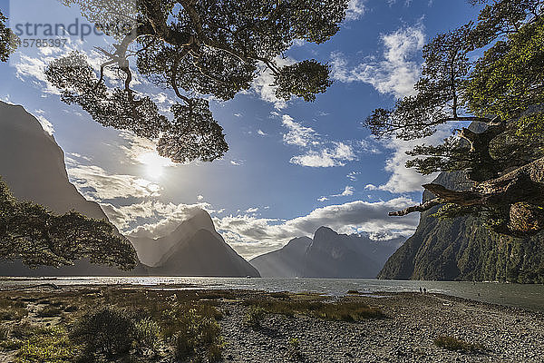 Neuseeland  Sonne scheint bei Ebbe über dem Strand des Milford Sound