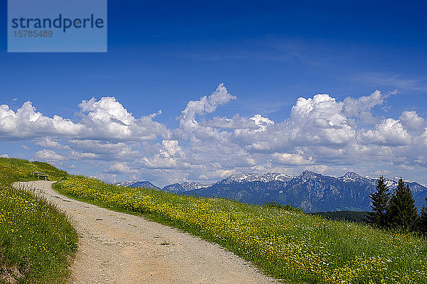 Deutschland  Schwaben  Alpenweg im Frühling mit Wolken über den Allgäuer Alpen im Hintergrund