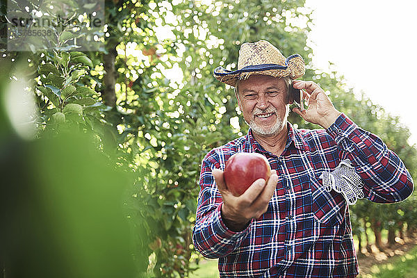 Stolzer Obstbauer hält Apfel  telefoniert
