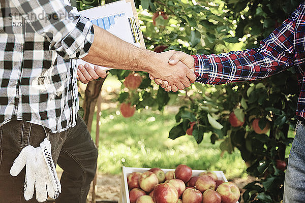 Obstbauern einigen sich auf ein Abkommen  schütteln Hände