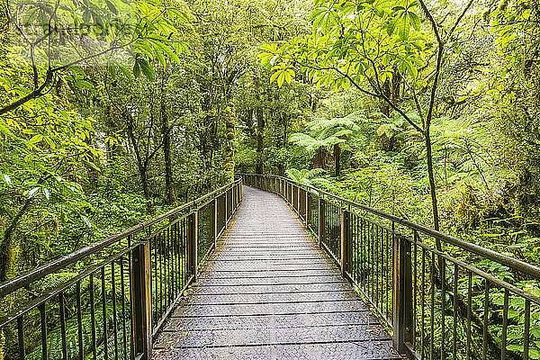 Neuseeland  Ozeanien  Südinsel  Southland  Fiordland National Park  Boardwalk The Chasm Walk