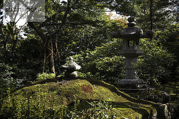 Japan  Präfektur Kyoto  Kyoto  Steinlaternen im Sogenchi-Garten